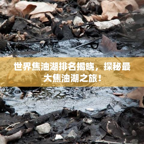 世界焦油湖排名揭晓，探秘最大焦油湖之旅！