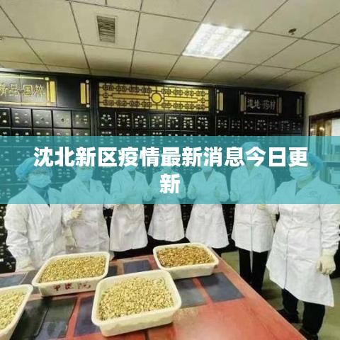 沈北新区疫情最新消息今日更新