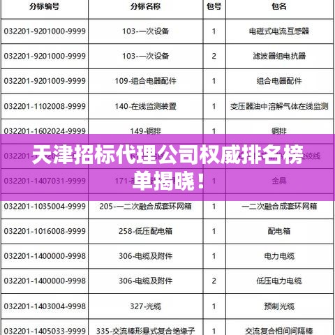 天津招标代理公司权威排名榜单揭晓！