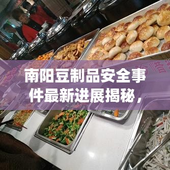 南阳豆制品安全事件最新进展揭秘，事件进展与应对举措全解析
