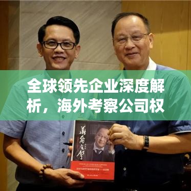 全球领先企业深度解析，海外考察公司权威排名榜单