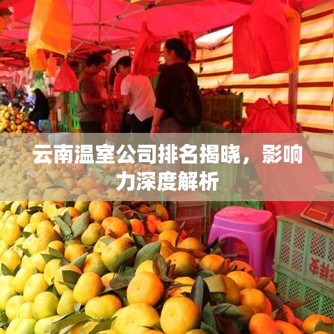 云南温室公司排名揭晓，影响力深度解析