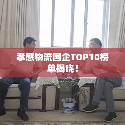 孝感物流国企TOP10榜单揭晓！