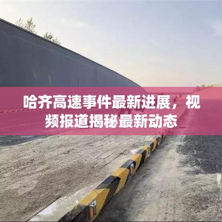 哈齐高速事件最新进展，视频报道揭秘最新动态
