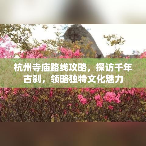 杭州寺庙路线攻略，探访千年古刹，领略独特文化魅力