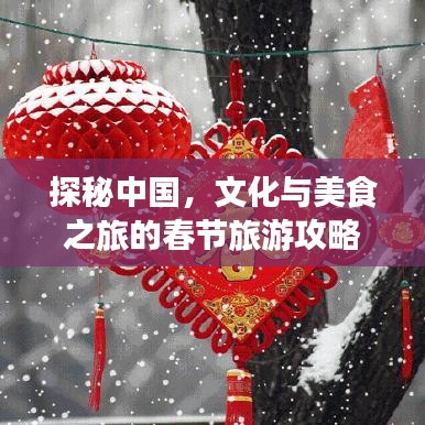 探秘中国，文化与美食之旅的春节旅游攻略