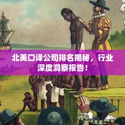 北美口译公司排名揭秘，行业深度洞察报告！