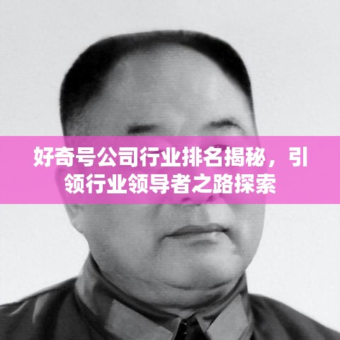 好奇号公司行业排名揭秘，引领行业领导者之路探索