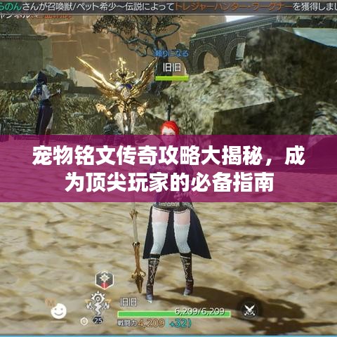 宠物铭文传奇攻略大揭秘，成为顶尖玩家的必备指南
