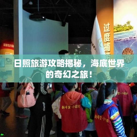 日照旅游攻略揭秘，海底世界的奇幻之旅！