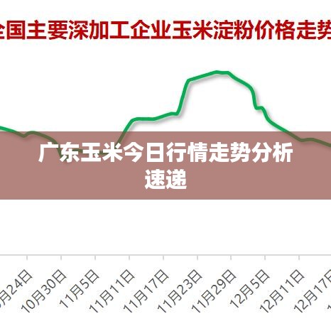 广东玉米今日行情走势分析速递