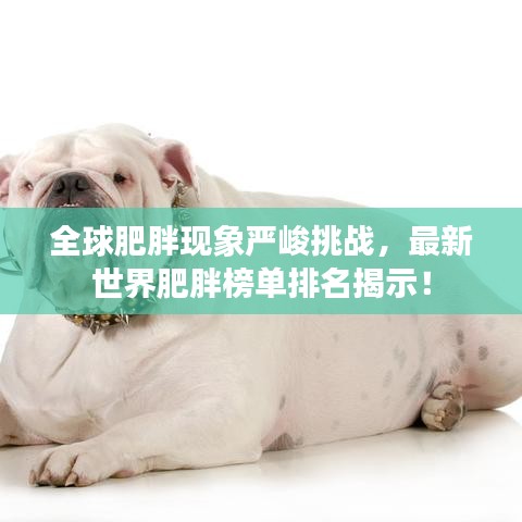 全球肥胖现象严峻挑战，最新世界肥胖榜单排名揭示！