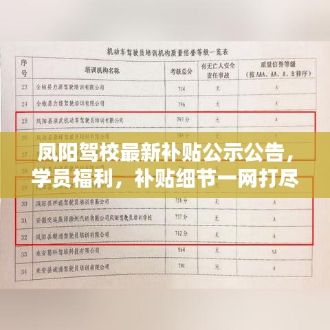 凤阳驾校最新补贴公示公告，学员福利，补贴细节一网打尽！