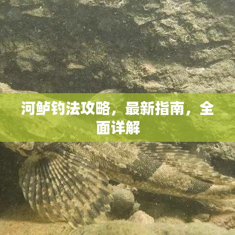 河鲈钓法攻略，最新指南，全面详解