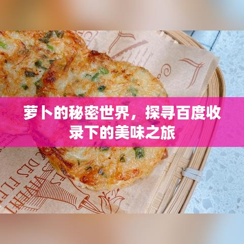 萝卜的秘密世界，探寻百度收录下的美味之旅