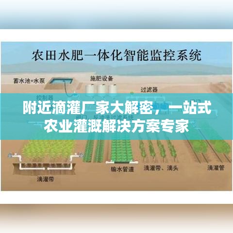 附近滴灌厂家大解密，一站式农业灌溉解决方案专家