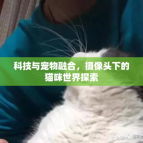 一张一翕