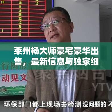 莱州杨大师豪宅豪华出售，最新信息与独家细节曝光！