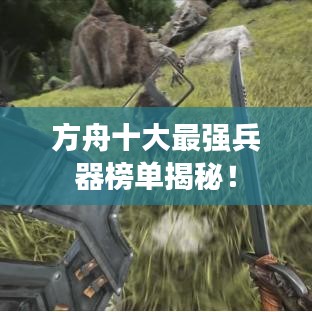 池鱼笼鸟