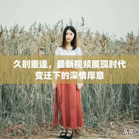 产品中心 第15页