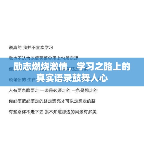 产品中心 第13页