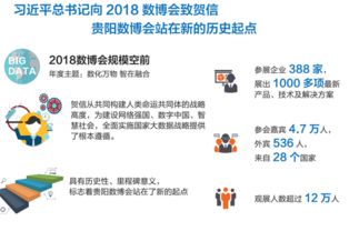 牛管家官方下载,深入执行数据策略_挑战款_v6.113