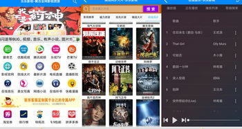 下载官方花魁,揭秘小众软件的无限魅力——精准实施步骤WP1_v2.761