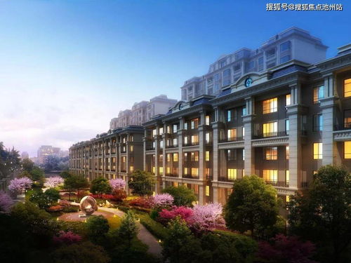 游戏二十官方下载,深度数据解析应用 vShop_v3.593