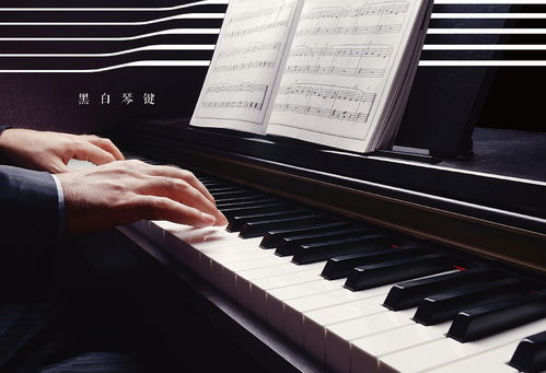 钢琴块单机版下载与in相机官方下载,高效策略设计_豪华版_v2.285