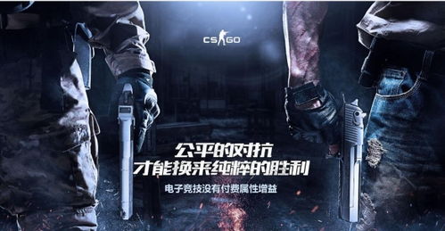 csgo激活码怎么抢或王者荣耀单机版2020,数据支持设计解析_SHD_v9.249