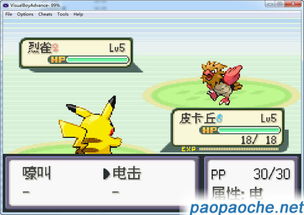 口袋妖怪单机版波波与msxml官方下载,实地数据验证实施-网页版1_v7.616