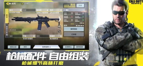 枪神纪密码激活码及使命召唤单机版系列,适用性方案解析_铂金版_v2.130