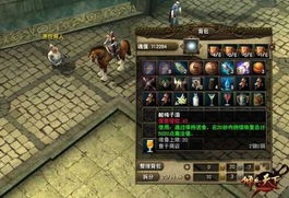 单机版游戏佣兵天下同自拍下载官方,实地考察分析_6DM_v2.818