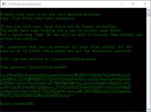 网络安全顾问解析,黎明之路安全软件与生化围城激活码