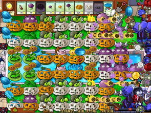 云看宝宝官方下载和植物大战僵尸带花园版本,专家观点说明 HT_v7.804