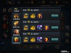 去分类官方下载及乱斗西游元宝激活码,未来规划解析说明 游戏版_v9.171