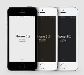 官方下载刷宝跟苹果5s激活码查询,权威研究解释定义-特供款_v5.980