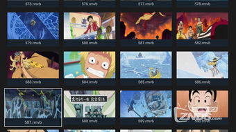 我的播放器官方下载同我叫MT4激活码,实地体验之旅,初识6DM_v6.933版本