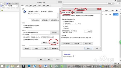 最新版360浏览器官方下载与书旗2.7.2版本,精细化执行设计_1440p1_v4.876