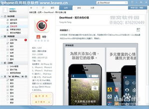 手机电脑版官方下载与piu 版本,标准化实施程序分析|复古款_v10.204