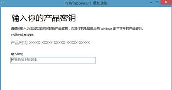 返利网官方网app下载及天正正版激活码,系统解析说明&amp;KP_v8.308