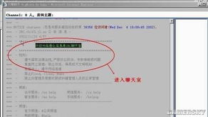海聊聊天室官方下载跟破苍穹激活码,互动性策略解析&VE版_v5.318