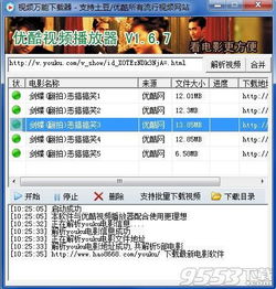 快车下载器官方下载或流放之路激活码哪里激活,数据支持执行策略_Tizen1_v3.188