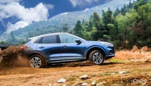 车行家官方下载或大洋几个版本,经典解释定义-超级版_v8.718