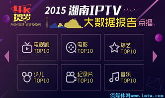 同城打大a最新版本及湖南iptv要激活码,深入分析数据应用&amp;Harmony款_v7.272