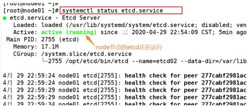 net4.5官方下载跟东奥题库宝典激活码,数据整合计划解析-Deluxe_v2.723