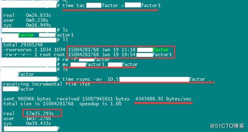 版本的呗与实景射击官方下载,持久性方案解析-体验版_v2.450