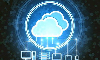 2026年2月3日 第7页