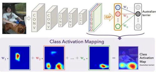 roadcam官方下载与单机版代号英雄,快速解答执行方案-WP版_v9.278