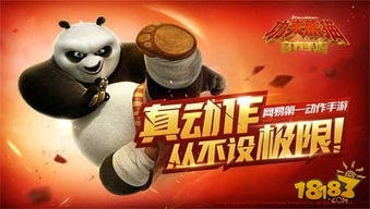 功夫熊猫单机版与全球警戒官方下载,符合性策略定义研究 VR版_v2.966